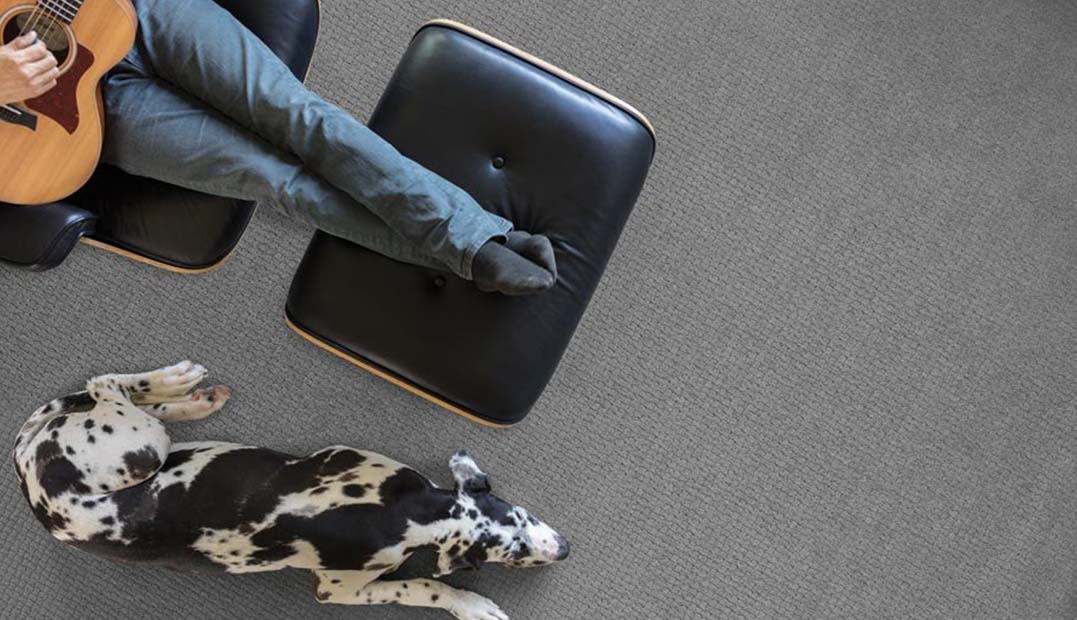 floortrendsmag.com | TISE News 