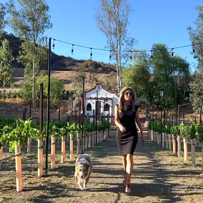 SURFACES Showhome: Calibu Vineyard by Jennifer Farrell