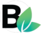 TISE Beyond the Surface Bug Logo