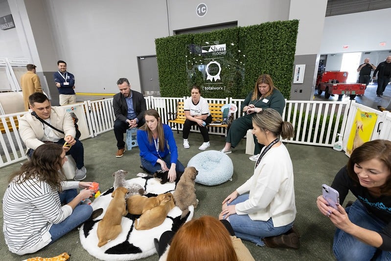 Puppy Love Wellness Lounge