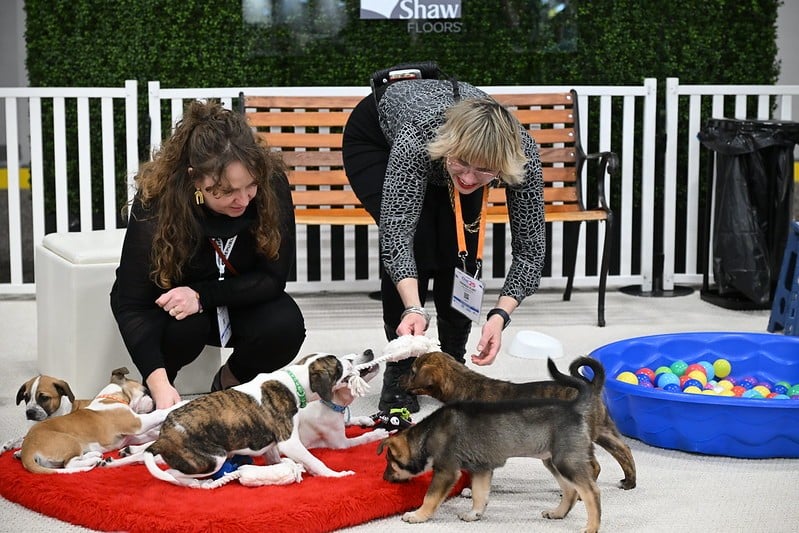 Puppy Love Wellness Lounge