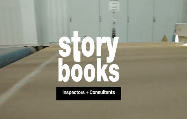 Consultants/Inspectors Storybook